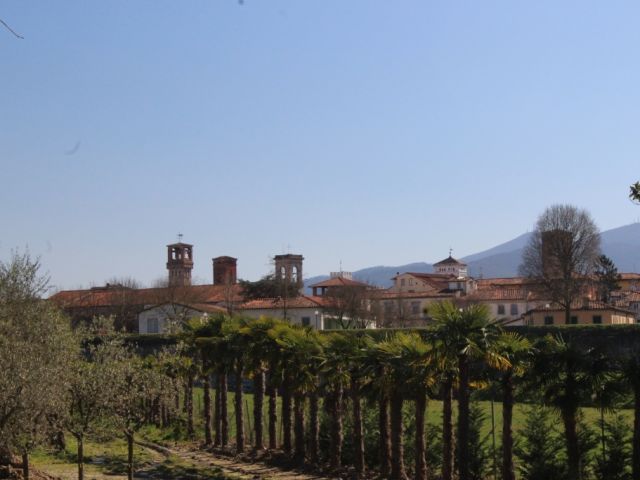 Towers in Lucca