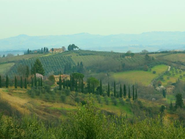 San Gimignano Countryside