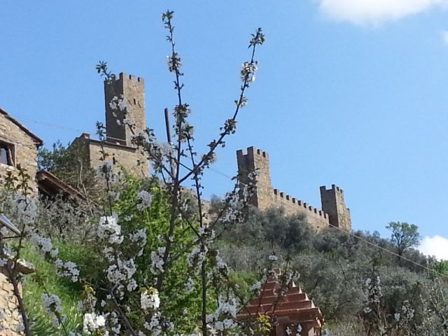 Montecchio Castle
