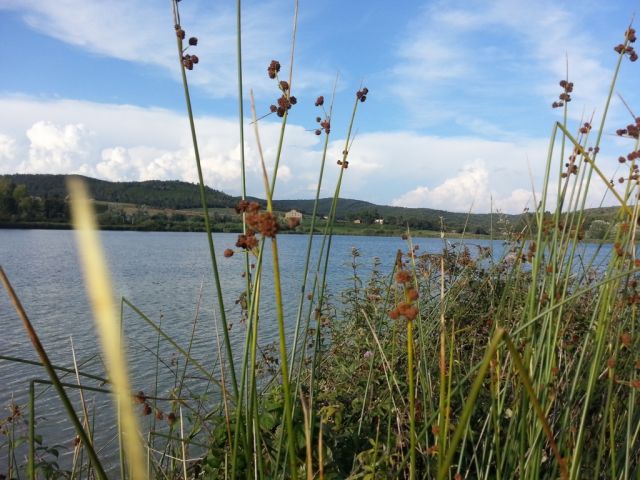 Lago dell'Accesa