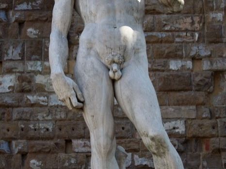 Michelangelo's David