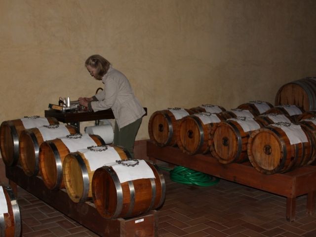 Balsamaia