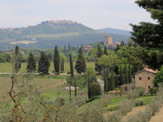 Monte Amiata